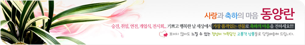 동양란